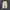 Baggy Pants Cargo