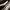 VANS OLD SKOOL PRO BLACK WHITE photo 9