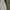Tod's mocassin loafers women's snake phyton olive photo 6