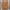 Japanese brand Casual T-shirt Pria orange photo 2