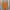 Japanese Brand Casual T-shirt Pria Orange