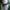 VANS Casual Sneakers Pria green photo 7