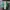 VANS Casual Sneakers Pria green photo 3