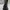 Black Skull Printed Shoulder Bag photo 6