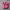 Crocs Casual Loafer Pria pink photo 3