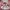 Baju Style Bagus Baru Belum Pernah Di Pakai 