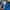 Noah Streetwear Skater T-shirt Pria blue photo 6