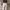 celana carhartt 100% original  photo 2