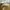 Sandal crocs authentic photo 6