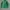 Modern&classic green outer button jacket photo 1