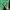 Modern&classic green outer button jacket photo 5