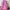 Skechers Casual Backpack Wanita pink blue photo 4