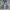 Jeans Denim Cutbray  photo 1