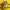 Casual Fleece Pria Yellow