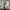 Adidas Streetwear Sportswear Sneakers Pria white photo 2