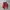 Puma Casual Sneakers Pria red photo 4
