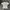 Uniqlo Blank Tee