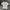 Uniqlo Blank Tee