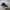 Converse Casual Sneakers Pria white black photo 3