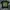 Vintage T-shirt Pria green photo 1