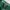 Grooverhyme Casual Sweatshirt Pria green photo 3