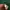 Grooverhyme Casual Sweatshirt Pria green photo 6