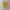 Issey Miyake Vintage Casual T-shirt Pria white yellow photo 1