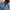 The North Face Packable Fanorak Insulated Jacket photo 4