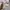 Billionaire Boys Club Streetwear Casual Hoody Pria white photo 5