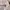 Billionaire Boys Club Streetwear Casual Hoody Pria white photo 3