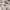 Billionaire Boys Club Streetwear Casual Hoody Pria white photo 6