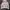 Billionaire Boys Club Streetwear Casual Hoody Pria white photo 1