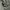 Hoodie Zipper carhat  photo 4