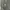 Hoodie Zipper carhat  photo 2