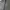 Hoodie Zipper carhat  photo 3