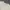 Coquette Minimalist Crop top Wanita cream photo 2