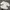 Coquette Minimalist Crop top Wanita cream photo 1