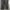 Dickies Streetwear Casual pants Pria black photo 4