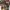 Supreme Streetwear T-shirt Pria multicolor photo 4