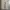 Diesel Streetwear Casual pants Pria tan photo 4