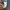 Jersey elles  photo 5