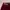 SGP Ophelia Short Pants Maroon | not Zara H&M Pomelo photo 2
