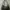 Renoir Hobo Genuine Leather Shoulder Bag photo 1