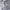 Streetwear Casual Hoody Pria gray photo 5