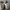 Nike Streetwear Sportswear Sneakers Pria white gray photo 4