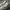 Nike Streetwear Sportswear Sneakers Pria white gray photo 2