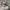 Nike Streetwear Sportswear Sneakers Pria white gray photo 1