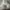 Nike Streetwear Sportswear Sneakers Pria white gray photo 6