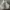 Nike Streetwear Sportswear Sneakers Pria white gray photo 5