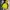 The North Face GORE-TEX Outdoor Jacket